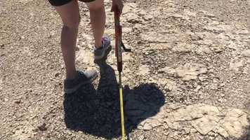 Free download STAR Fellow Patrick Costa: 2020 Research video video and edit with RedcoolMedia movie maker MovieStudio video editor online and AudioStudio audio editor onlin