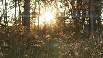 Free download Star Wars: Rise of Skywalker Fan Film video and edit with RedcoolMedia movie maker MovieStudio video editor online and AudioStudio audio editor onlin