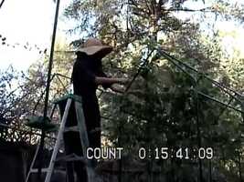 Free download STATIC video and edit with RedcoolMedia movie maker MovieStudio video editor online and AudioStudio audio editor onlin