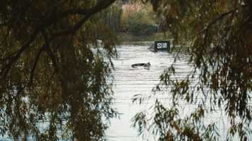 Free download Stav14 Wake Park - Fun Contest 2019 video and edit with RedcoolMedia movie maker MovieStudio video editor online and AudioStudio audio editor onlin