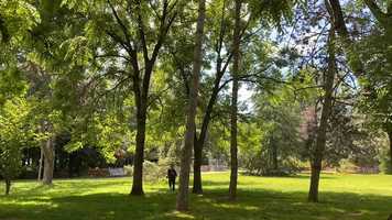 Free download Stavros video and edit with RedcoolMedia movie maker MovieStudio video editor online and AudioStudio audio editor onlin