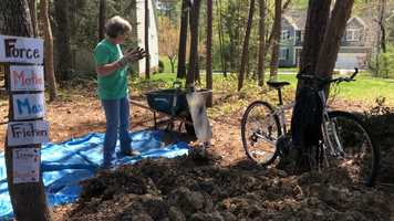 Free download Stay At Home Science Force and Motion video and edit with RedcoolMedia movie maker MovieStudio video editor online and AudioStudio audio editor onlin