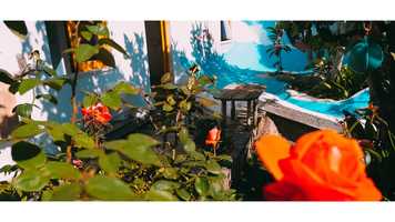 Free download STAY FUNKY video and edit with RedcoolMedia movie maker MovieStudio video editor online and AudioStudio audio editor onlin