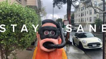 Free download STAY SANE video and edit with RedcoolMedia movie maker MovieStudio video editor online and AudioStudio audio editor onlin