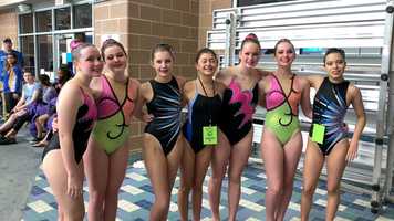 Free download Stay Strong, Cygnets! video and edit with RedcoolMedia movie maker MovieStudio video editor online and AudioStudio audio editor onlin