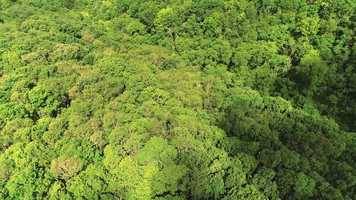 Free download Stephen Vitiello - Brood IX video and edit with RedcoolMedia movie maker MovieStudio video editor online and AudioStudio audio editor onlin