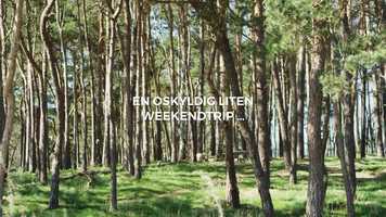 Free download sterlen med de bsta paketen video and edit with RedcoolMedia movie maker MovieStudio video editor online and AudioStudio audio editor onlin