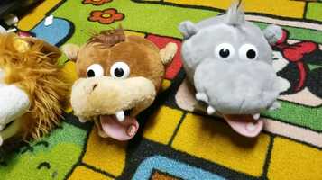 Free download Steve Trenbirth video and edit with RedcoolMedia movie maker MovieStudio video editor online and AudioStudio audio editor onlin