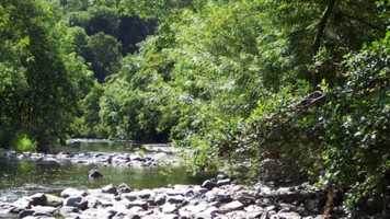 Free download Stillness Service for 1st June 2020 video and edit with RedcoolMedia movie maker MovieStudio video editor online and AudioStudio audio editor onlin