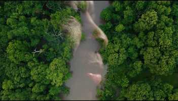 Free download Still We Thrive directed by Campbell X produced by Ashitey Akomfrah for Smoking Dogs Films - Trailer video and edit with RedcoolMedia movie maker MovieStudio video editor online and AudioStudio audio editor onlin