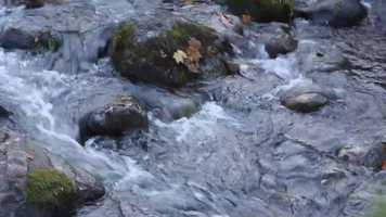 Free download Stop and Think video and edit with RedcoolMedia movie maker MovieStudio video editor online and AudioStudio audio editor onlin