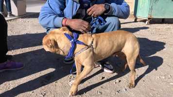 Free download STOP THE SWEEPS | NO CAMPING BAN | LAS VEGAS PROTESTS video and edit with RedcoolMedia movie maker MovieStudio video editor online and AudioStudio audio editor onlin