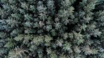 Free download Stories of Radical Landownership video and edit with RedcoolMedia movie maker MovieStudio video editor online and AudioStudio audio editor onlin