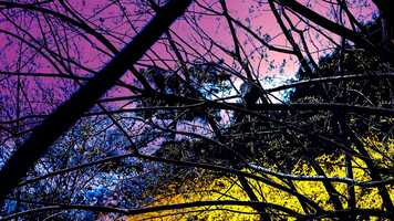 Free download Stranger In a Strange Land video and edit with RedcoolMedia movie maker MovieStudio video editor online and AudioStudio audio editor onlin