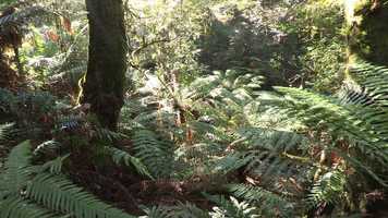 Free download Strangerlands video and edit with RedcoolMedia movie maker MovieStudio video editor online and AudioStudio audio editor onlin