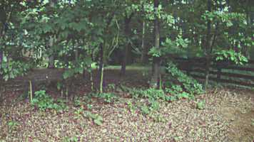 Free download Strangers Last Moments video and edit with RedcoolMedia movie maker MovieStudio video editor online and AudioStudio audio editor onlin