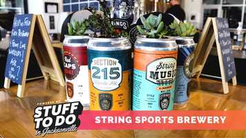 Free download String Sports Brewery video and edit with RedcoolMedia movie maker MovieStudio video editor online and AudioStudio audio editor onlin