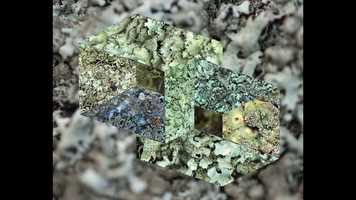 Free download Structural Indicators No.7 video and edit with RedcoolMedia movie maker MovieStudio video editor online and AudioStudio audio editor onlin