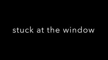 Free download stuck at the window video and edit with RedcoolMedia movie maker MovieStudio video editor online and AudioStudio audio editor onlin