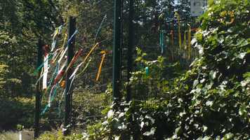 Free download Studentenkerk 2020 video and edit with RedcoolMedia movie maker MovieStudio video editor online and AudioStudio audio editor onlin