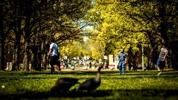 Free download Student Urgent Relief Fund: Message from the Vice-Chancellor video and edit with RedcoolMedia movie maker MovieStudio video editor online and AudioStudio audio editor onlin