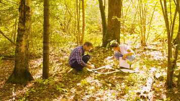 Free download Studying Plants Stock Video video and edit with RedcoolMedia movie maker MovieStudio video editor online and AudioStudio audio editor onlin