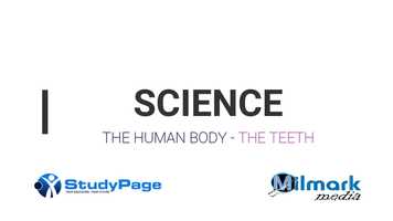 Free download Studypage- Science - The Teeth video and edit with RedcoolMedia movie maker MovieStudio video editor online and AudioStudio audio editor onlin