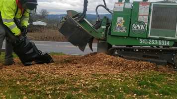 Free download Stump Grinding Service Stump Removal Northwest Inc video and edit with RedcoolMedia movie maker MovieStudio video editor online and AudioStudio audio editor onlin