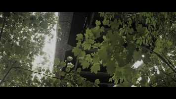 Free download SUBIMAGO Bande-annonce _ Trailer (2016) video and edit with RedcoolMedia movie maker MovieStudio video editor online and AudioStudio audio editor onlin