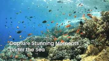 Free download Sublue MixPro Underwater Scooter video and edit with RedcoolMedia movie maker MovieStudio video editor online and AudioStudio audio editor onlin