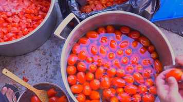 Free download Sugo - Teaser #2 video and edit with RedcoolMedia movie maker MovieStudio video editor online and AudioStudio audio editor onlin