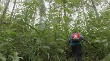 Free download SULLE ROTAIE DEI TTILES trailer (sub ita) video and edit with RedcoolMedia movie maker MovieStudio video editor online and AudioStudio audio editor onlin