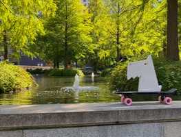 Free download Summer 2020 Snapshots video and edit with RedcoolMedia movie maker MovieStudio video editor online and AudioStudio audio editor onlin