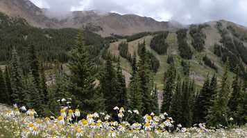 Free download Summer Cloudlapses video and edit with RedcoolMedia movie maker MovieStudio video editor online and AudioStudio audio editor onlin