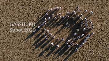 Free download Summer Gasshuku Traditional Karate, Poland video and edit with RedcoolMedia movie maker MovieStudio video editor online and AudioStudio audio editor onlin