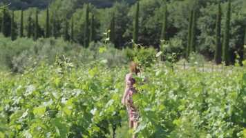 Free download Summer yet video and edit with RedcoolMedia movie maker MovieStudio video editor online and AudioStudio audio editor onlin