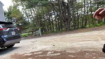 Free download Sundae Vehicle search #2 S10W1 video and edit with RedcoolMedia movie maker MovieStudio video editor online and AudioStudio audio editor onlin