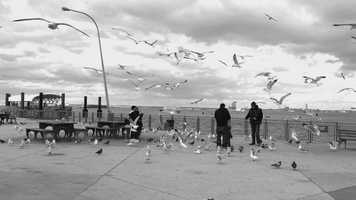 Free download Sunday on a pier video and edit with RedcoolMedia movie maker MovieStudio video editor online and AudioStudio audio editor onlin