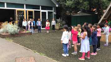 Free download Sunflower Song - Abbey Gardens - NDC Farewell video and edit with RedcoolMedia movie maker MovieStudio video editor online and AudioStudio audio editor onlin