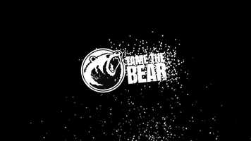 Free download Sungard - Tame the bear video and edit with RedcoolMedia movie maker MovieStudio video editor online and AudioStudio audio editor onlin