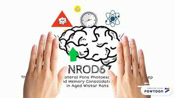 Free download Sunny - half of video video and edit with RedcoolMedia movie maker MovieStudio video editor online and AudioStudio audio editor onlin