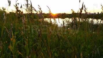 Free download Sunset By The Lake Stock Video video and edit with RedcoolMedia movie maker MovieStudio video editor online and AudioStudio audio editor onlin