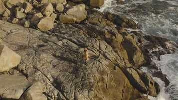 Free download Sunset Moves video and edit with RedcoolMedia movie maker MovieStudio video editor online and AudioStudio audio editor onlin