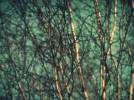 Free download Super 8 Film: Peter Broderick, Earnest Leslye | Expired Kodak 7242 video and edit with RedcoolMedia movie maker MovieStudio video editor online and AudioStudio audio editor onlin