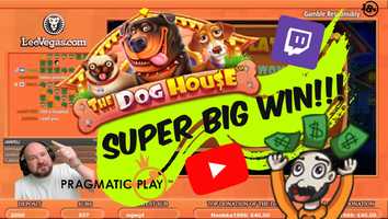 Free download Super Big Win From The Dog House Slot!! video and edit with RedcoolMedia movie maker MovieStudio video editor online and AudioStudio audio editor onlin