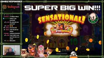 Free download Super Big Win From The Dog House Slot!!.mp4 video and edit with RedcoolMedia movie maker MovieStudio video editor online and AudioStudio audio editor onlin