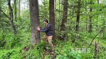 Free download Super Science Show with Joe: Plants! video and edit with RedcoolMedia movie maker MovieStudio video editor online and AudioStudio audio editor onlin