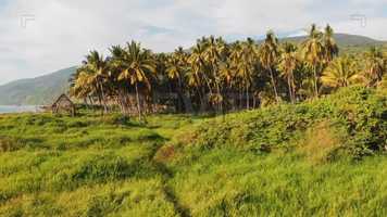 Free download Surfer Walking Stock Video video and edit with RedcoolMedia movie maker MovieStudio video editor online and AudioStudio audio editor onlin