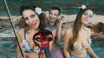 Free download Surf Life by Purrfuct video and edit with RedcoolMedia movie maker MovieStudio video editor online and AudioStudio audio editor onlin