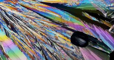 Free download Surrogate video and edit with RedcoolMedia movie maker MovieStudio video editor online and AudioStudio audio editor onlin